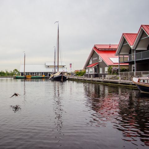 Roompot Terherne Haven - Camping Friesische Seen - Afbeelding N°6