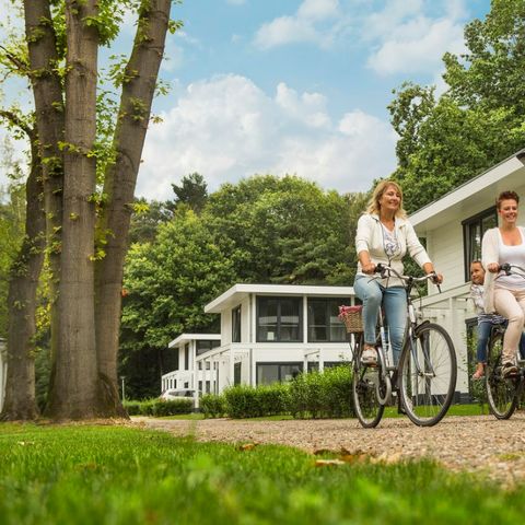 Landal Mooi Zutendaal - Camping Belgisch Limburg - Afbeelding N°4