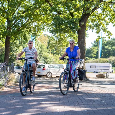 TopParken Résidence de Leuvert - Camping Vught - Afbeelding N°6