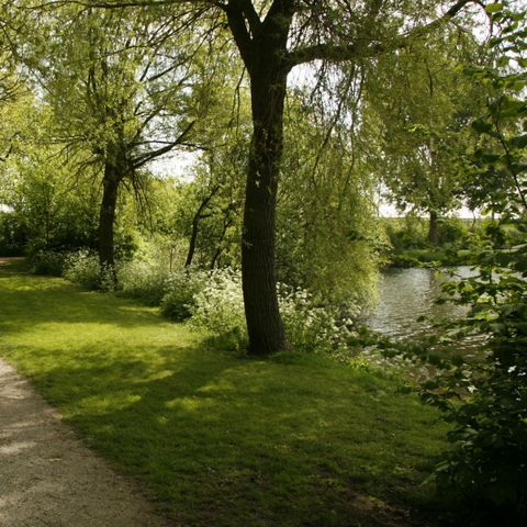 Holland Chalet Park Hensbroek - Camping Koggenland - Afbeelding N°6