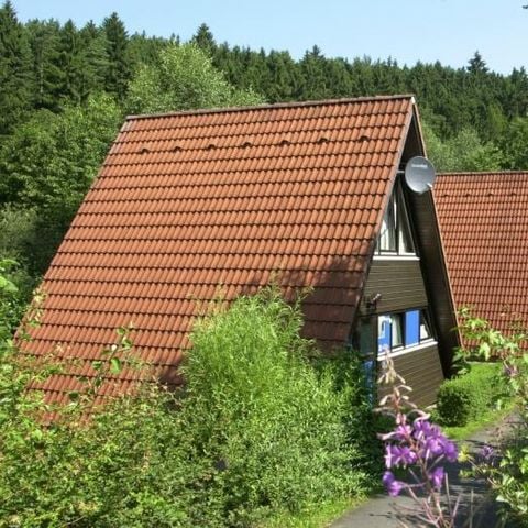 Ferienpark Ronshausen - Camping Hessen - Afbeelding N°4