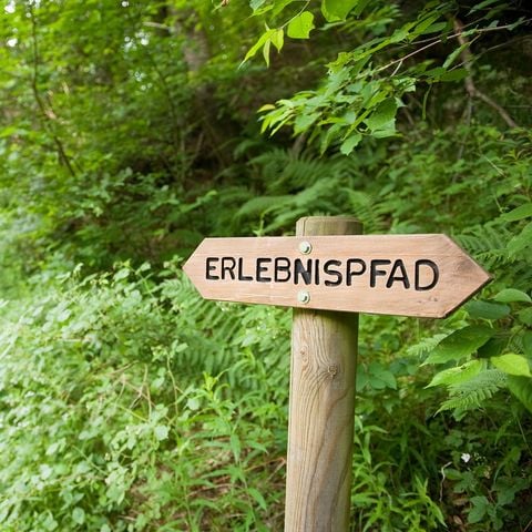 Ferienpark Ronshausen - Camping Hessen - Afbeelding N°4