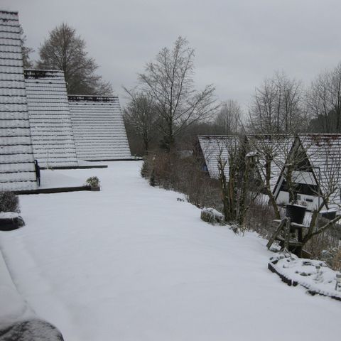 Ferienpark Ronshausen - Camping Hessen - Afbeelding N°5