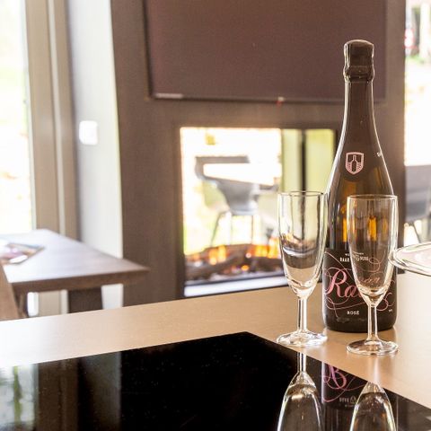 Bungalow 6 personen - Hertogenvilla Wellness