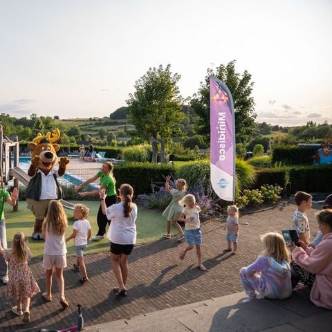 TopParken Résidence Valkenburg - Camping Valkenburg aan de Geul - Afbeelding N°4