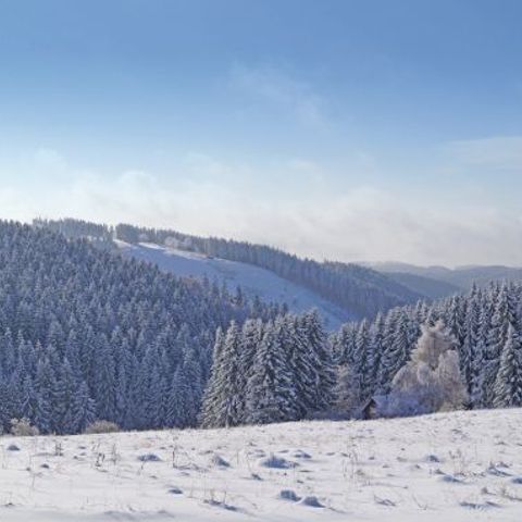 PanoramaPark St. Andreasberg - Camping Nedersaksen - Afbeelding N°3