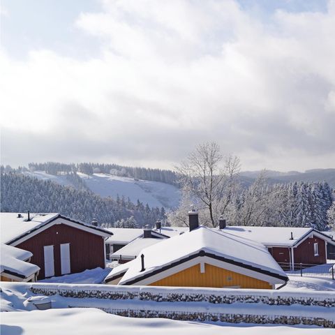 PanoramaPark St. Andreasberg - Camping Nedersaksen - Afbeelding N°2