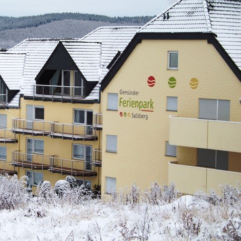 Gemünder Ferienpark Salzberg - Camping Rijnland-Palts - Afbeelding N°6
