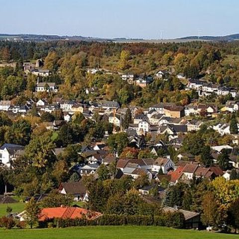 Feriendorf Reinskopf - Camping Rijnland-Palts - Afbeelding N°5