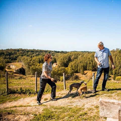 Vakantiehuis 4 personen - Ravenbosch - Sauna & Sfeerhaard