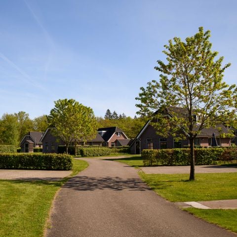Summio Villaparc Schoonhovenseland - Camping Hoogeveen - Afbeelding N°3