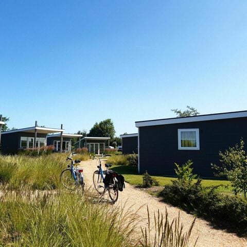 Lodge 6 personen - Comfort (50 m²)