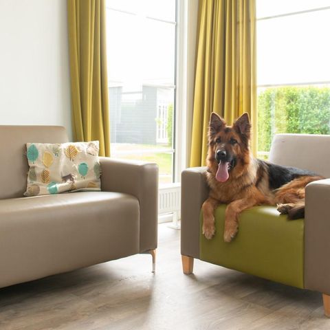 Lodge 6 personen - Comfort Lodge | 6 personen(50 m²)- Honden toegelaten