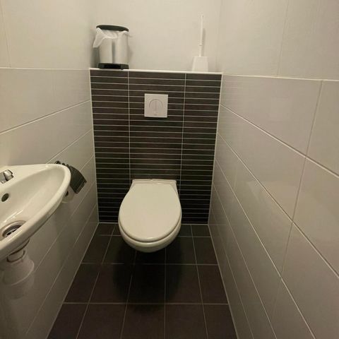Lodge 6 personen - Comfort Lodge | 6 personen(50 m²)- Honden toegelaten
