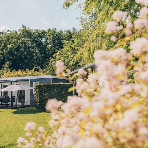 Bungalow 6 personen - Bosrand