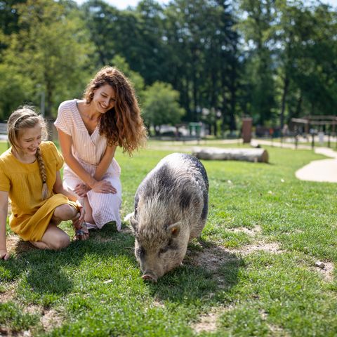 Center Parcs Les Ardennes - Belgisch-Luxemburg - Afbeelding N°6