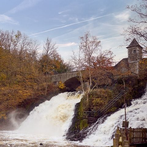 Center Parcs Les Ardennes - Belgisch-Luxemburg - Afbeelding N°3