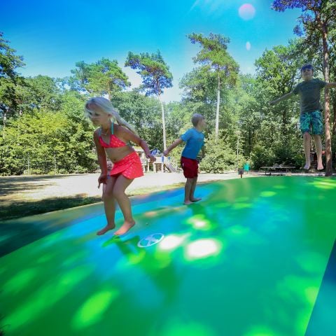 Vakantiepark Bonte Vlucht - Camping Utrechtse Heuvelrug - Afbeelding N°2