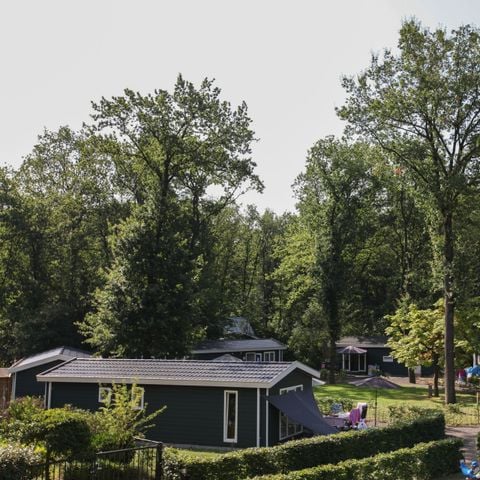 Vakantiepark Bonte Vlucht - Camping Utrechtse Heuvelrug - Afbeelding N°5