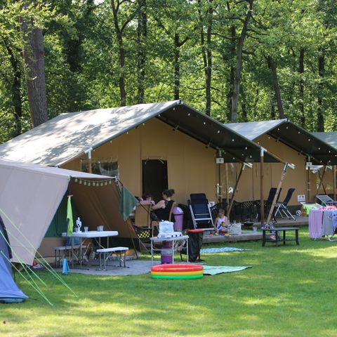 Vakantiepark Bonte Vlucht - Camping Utrechtse Heuvelrug - Afbeelding N°4
