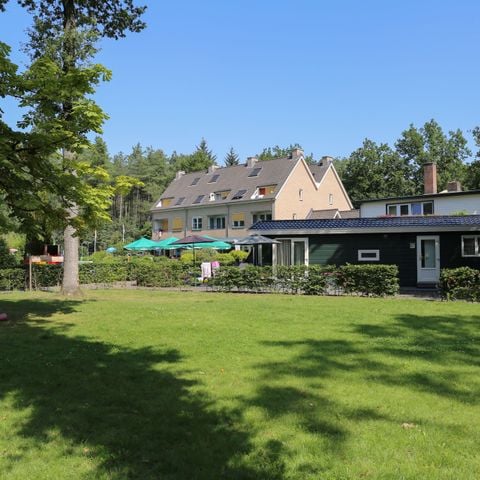 Vakantiepark Bonte Vlucht - Camping Utrechtse Heuvelrug - Afbeelding N°6