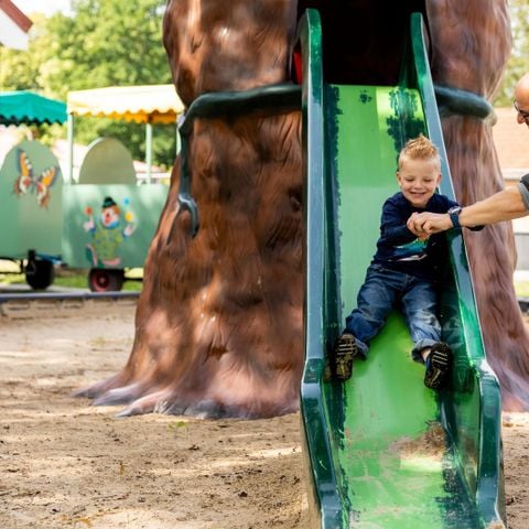 Recreatiepark de Tien Heugten - Camping Aa und Hunze - Afbeelding N°6