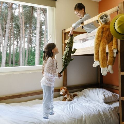 VAKANTIEHUIS 8 personen - Savanne Lodge Plus