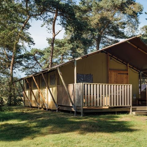 Safaritent 6 personen - Safaritent