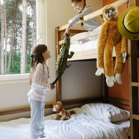 VAKANTIEHUIS 6 personen - Lodge