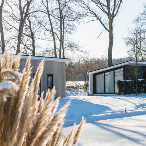 Vakantiepark De Lochemse Berg - Camping Lochem - Afbeelding N°6