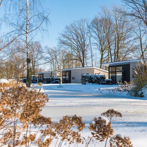 Vakantiepark De Lochemse Berg - Camping Lochem - Afbeelding N°5
