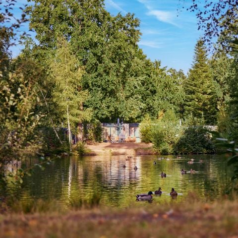 Center Parcs Park Nordseeküste - Camping Nedersaksen - Afbeelding N°3