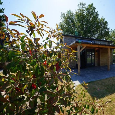 UNIEKE ACCOMMODATIE 4 personen - Tiny house Plus