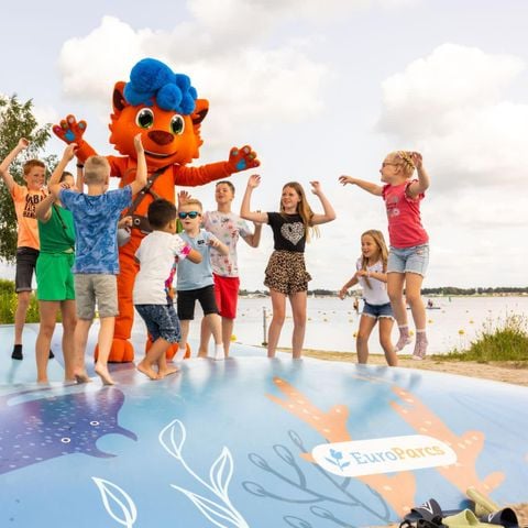 VAKANTIEHUIS 4 personen - Hackfort