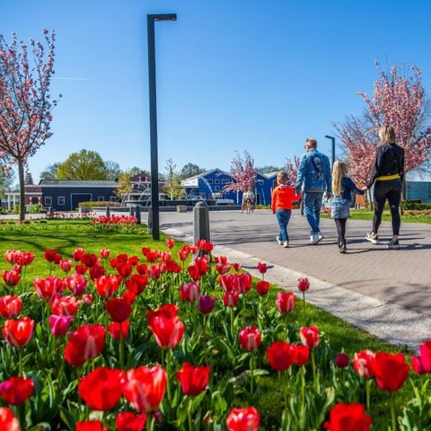 Chalet 6 personen - Cube Split