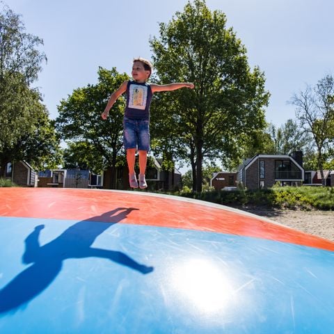 EuroParcs Zuiderzee - Camping Dronten - Afbeelding N°5