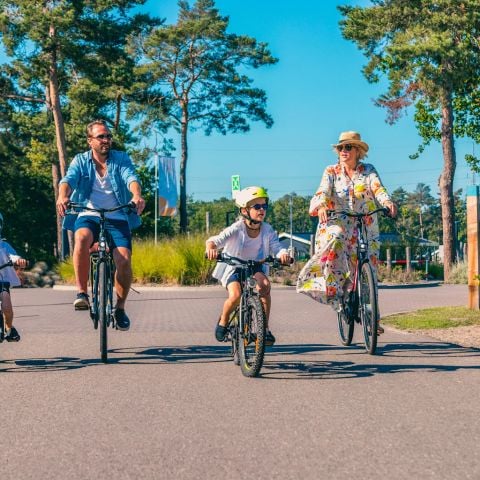 EuroParcs Zilverstrand - Camping Antwerpen - Afbeelding N°5