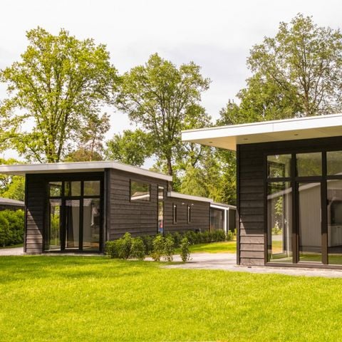 Bospark Markelo - Camping Hof van Twente - Afbeelding N°6