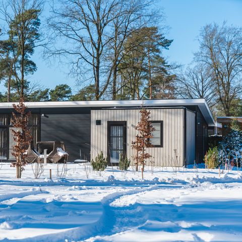 Bungalow 4 personen - Bos Lodge