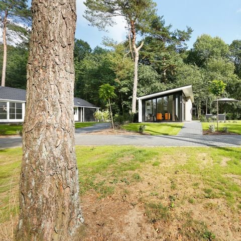 Bungalow 4 personen - Bos Lodge