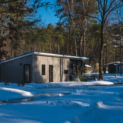 Bungalow 4 personen - Bos Lodge