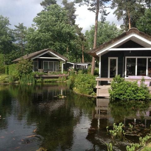 Lodge 4 personen - Meerkoet