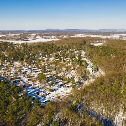 Bungalow 6 personen - Bos Lodge