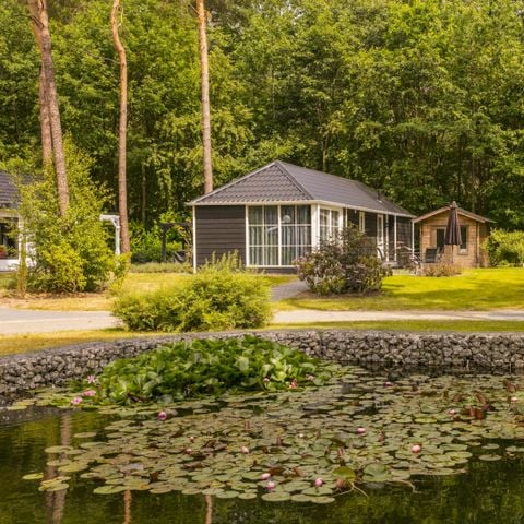 VAKANTIEHUIS 6 personen - Lodge Kwikstaart C29
