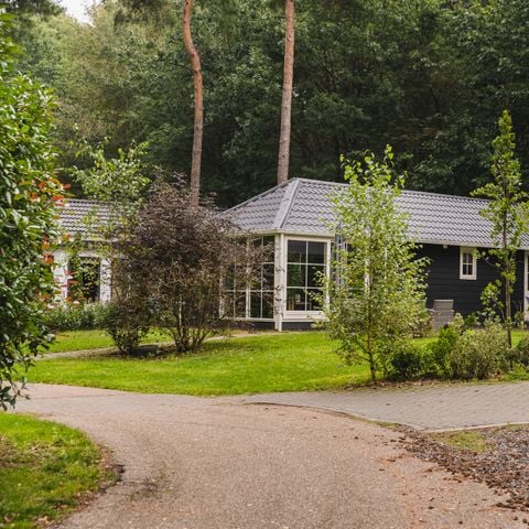 VAKANTIEHUIS 6 personen - Lodge Kwikstaart C29