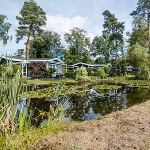 Chalet 4 personen - Natuur Chalet