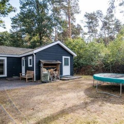 Chalet 4 personen - Natuur Chalet