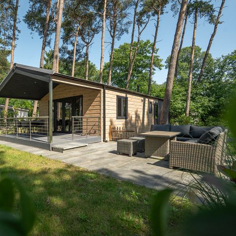 Bospark Markelo - Camping Hof van Twente - Afbeelding N°6