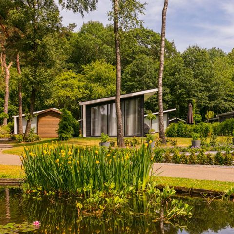Bospark Markelo - Camping Hof van Twente - Afbeelding N°5
