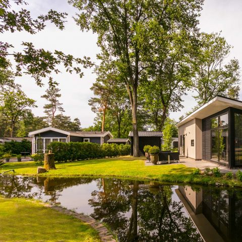 Bospark Markelo - Camping Hof van Twente - Afbeelding N°2